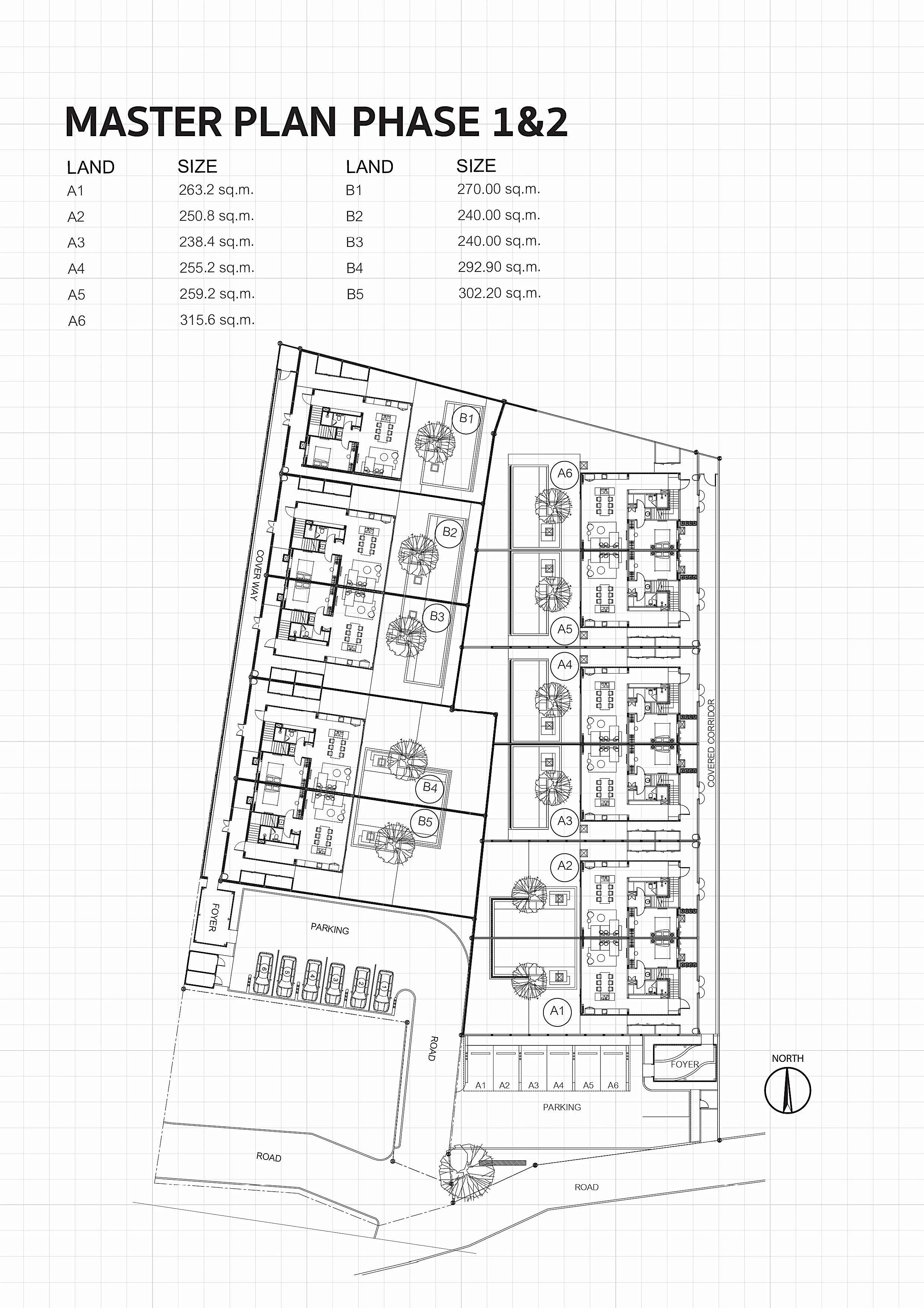Master Plan Phase 1 & 2 .jpg